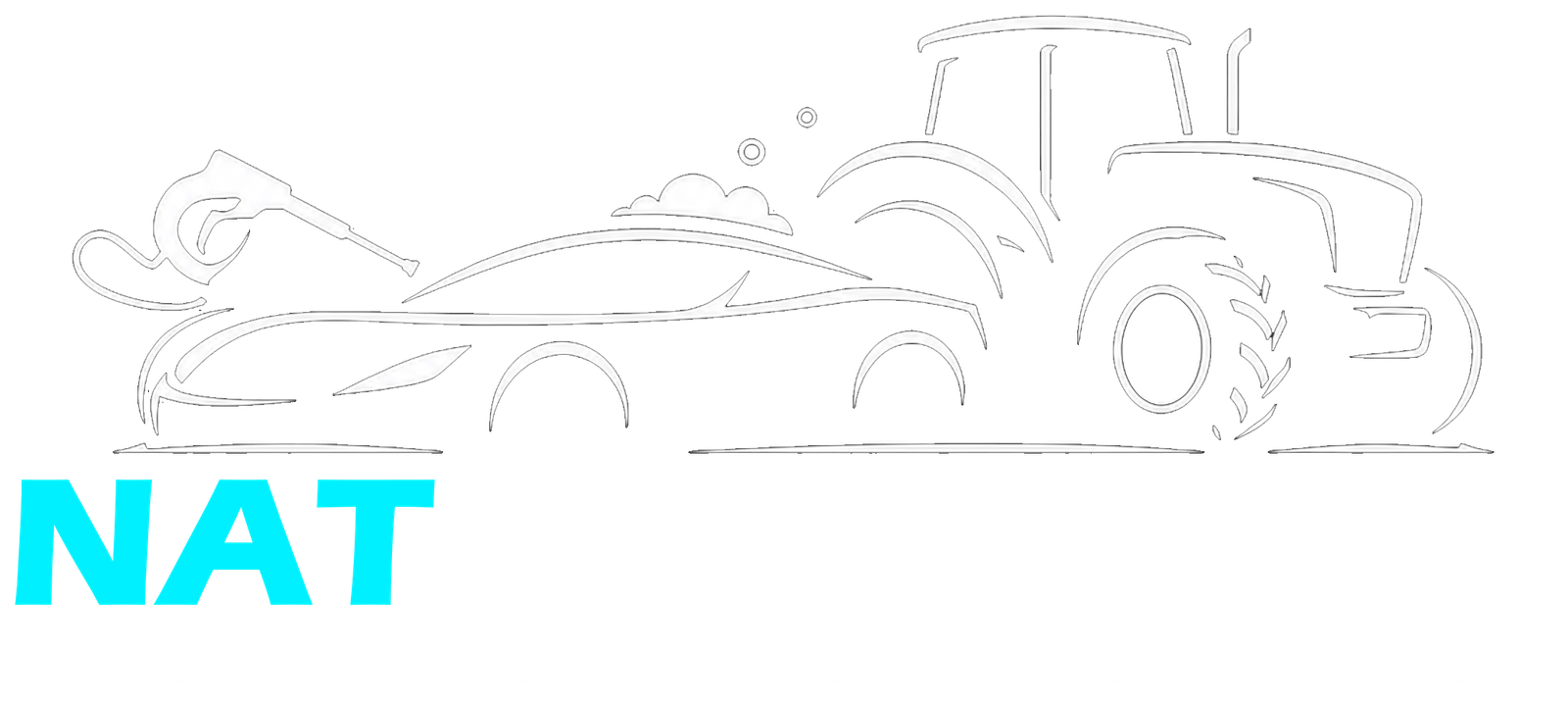 NatDetailing Logo
